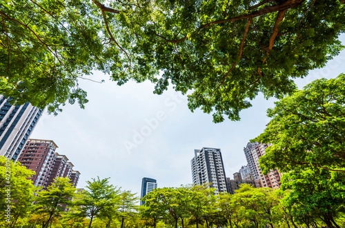 low angle view of green trees with the Modern building background in the park. photo