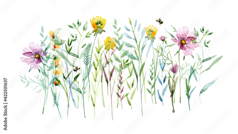 Watercolor flying bee, natural field flowers, beautiful floral composition isolated on white, macro. Summer Meadow. Summer symbol for holiday, postcard, poster, banner, children's illustration and web