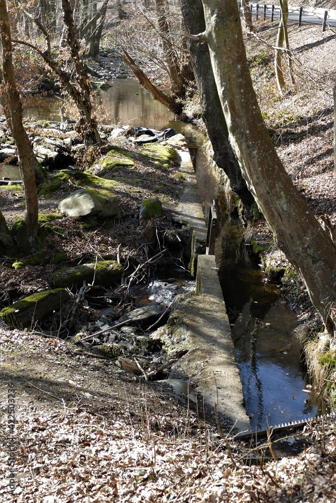 Kleiner Bach im Wald