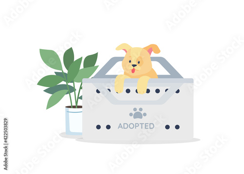 Golden puppy for adoption flat color vector detailed character. Rescue homeless dog. Stray pup find home. Pet care isolated cartoon illustration for web graphic design and animation