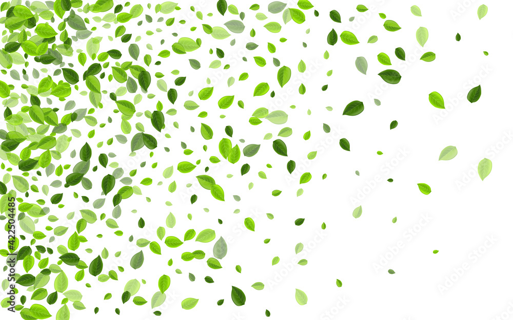 Grassy Foliage Blur Vector Border. Abstract Grassy Foliage Blur Vector Border. Abstract