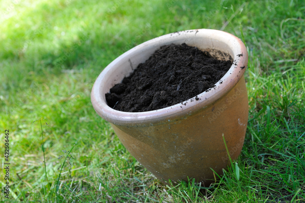 Flower pot filled with compost soil Flower pot filled with compost soil