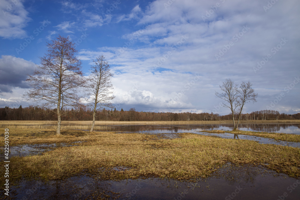 Beautiful landscape with spring backwaters. Beautiful landscape with spring backwaters.