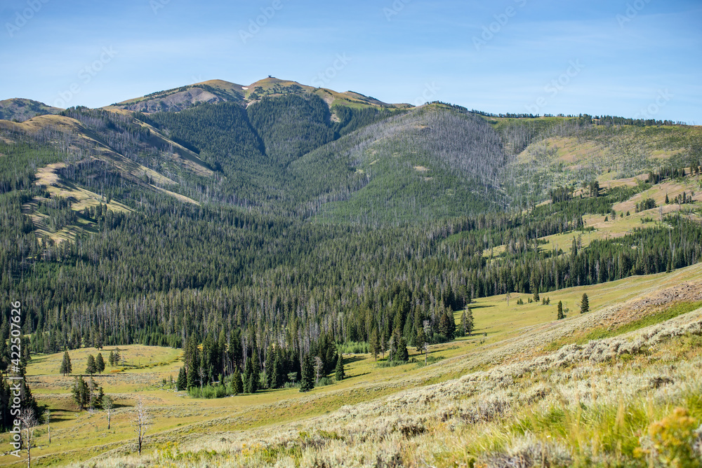 scenery at Mt Washburn trail in Yellowstone National Park, Wyoming, USA