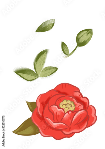 Red rose and peony. Clipart. Isolated picture. White background. Beautiful retro illustration in a feminine style.
