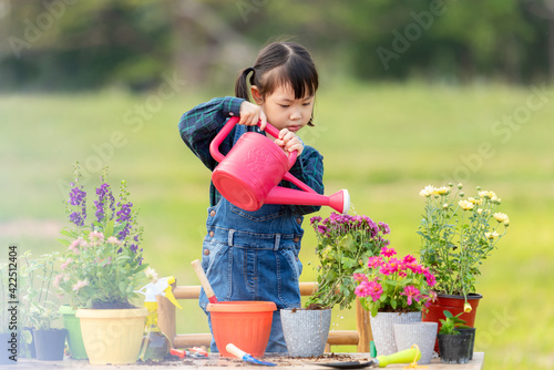 Asia child girl education  care plant flower in garden. Kid gardening for education outdoor sunnyÂ  nature background. Happy and enjoy in spring and summer day.Â  Family Concept