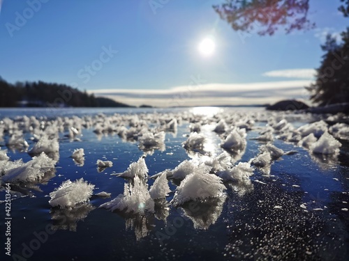 Iceflowers, Eisblumen photo