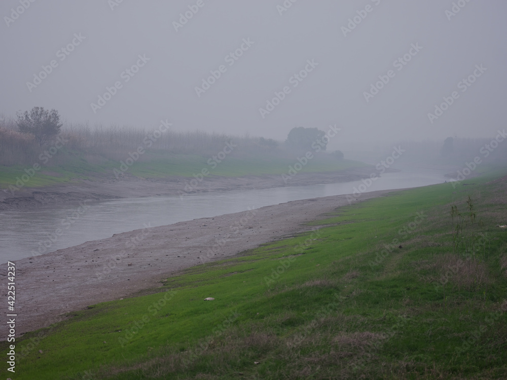 Fog, river bank, green