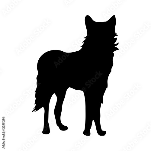 Dingo Silhouette