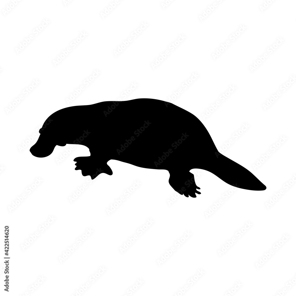 Platypus Silhouette Platypus Silhouette