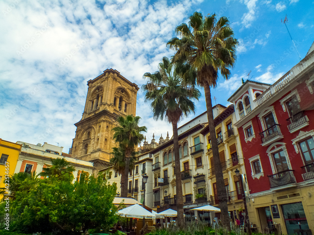 Una plaza del centro de Granada, España, con una magnífica palmera, la torre de una iglesia y las fachadas de colores de las viviendas del casco antiguo