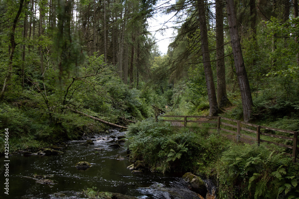 Obraz premium ireland travel