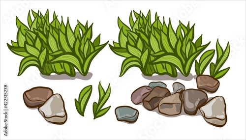 A set for landscape design. Host plant with stones on a white background.