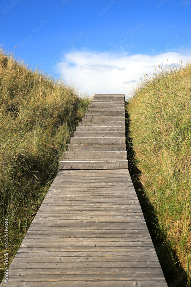 Fototapeta premium Bohlenweg in Dünen, Amrum