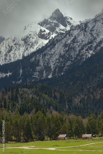 Spring in mountains