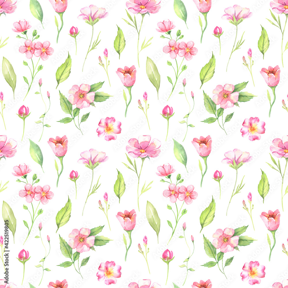 Wildflower flower pattern in a watercolor style isolated on a white background. Aquarelle wild flower for background, texture, wrapper pattern, frame or border. High quality illustration