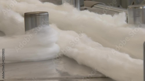 Textile industry, production of fabrics and threads from cotton and wool.
