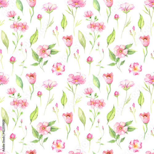 Wildflower flower pattern in a watercolor style isolated on a white background. Aquarelle wild flower for background  texture  wrapper pattern  frame or border. High quality illustration