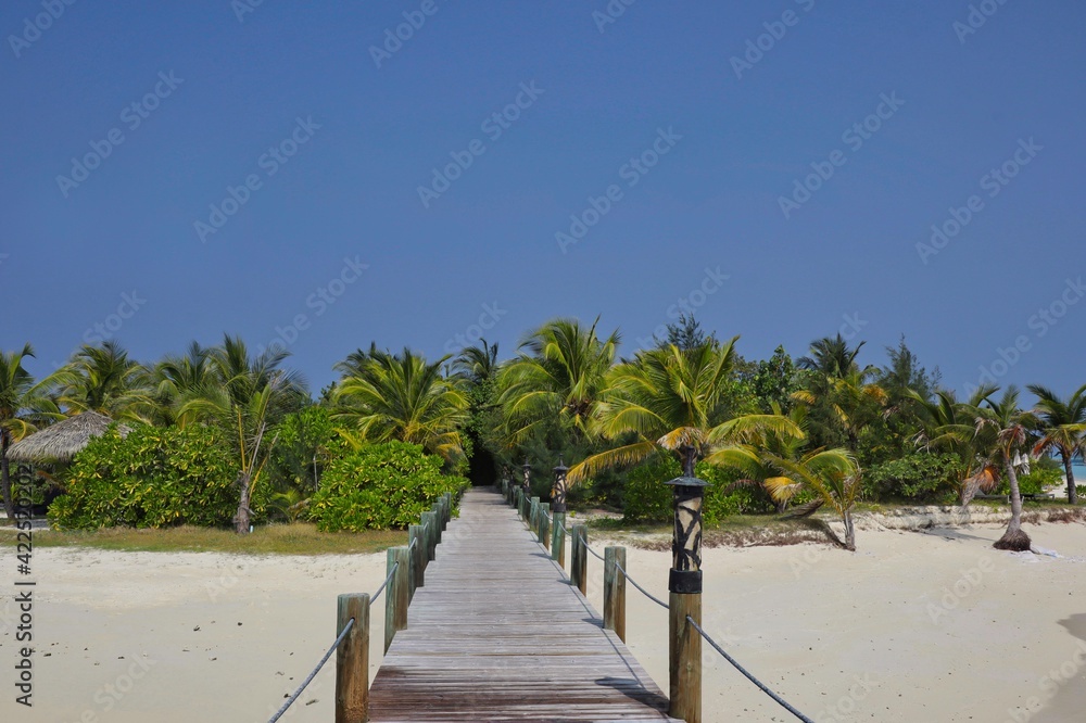 Fototapeta Wooden Walkway leading to Green Palm Trees on Sandy Beach in Maldives. Wooden Path in Maldivian Resort.