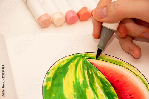 Learn to sketch with alcohol based sketch drawing markers for illustrators and graphic designers. Hand drawing Watermelon sketch photo