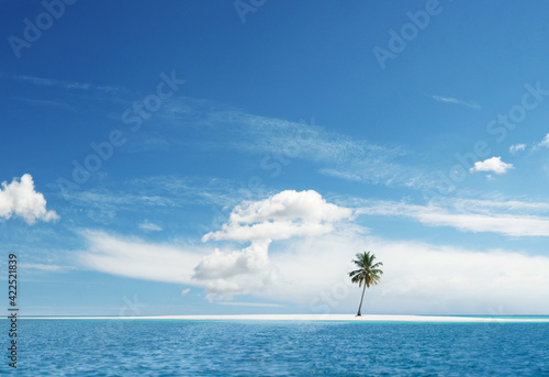 Idyllic paradise tropical island with palm