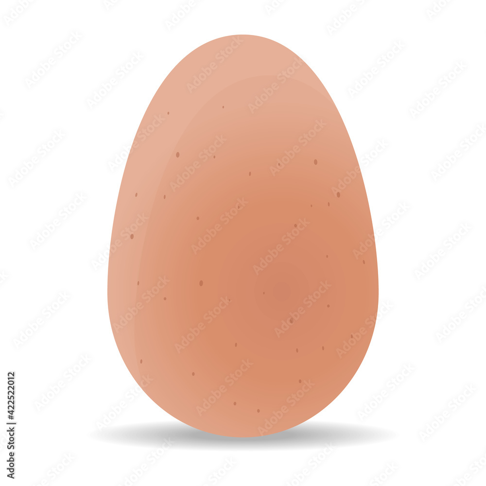 Chicken egg. Realistic chicken egg on a white background. Vector, cartoon illustration. Vector.