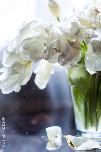 Vintage with white tulips die vase on white background for concept design. Spring tulips, bouquet. Beautiful spring nature background. Nature love concept. Summer nature view. Holiday concept.