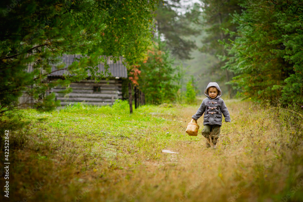 a little boy walks through the woods to a wooden house, selective focus