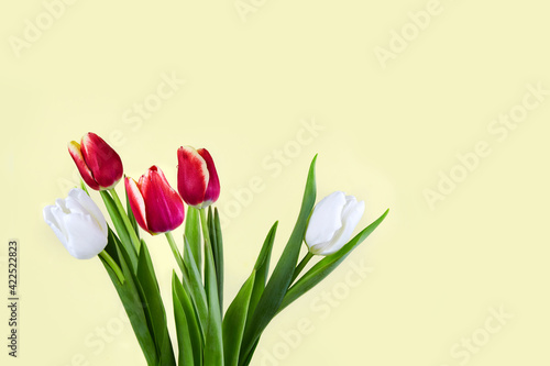 Fototapeta Naklejka Na Ścianę i Meble -  Bouquet of tulips on a yellow background. Greeting card. Flat lay, top view. 