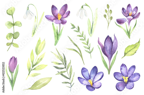 Watercolor floral illustration - leaves and branches bouquets with purple flowers and leaves for wedding stationary, greetings, wallpapers, background. Roses, green leaves. . High quality illustration