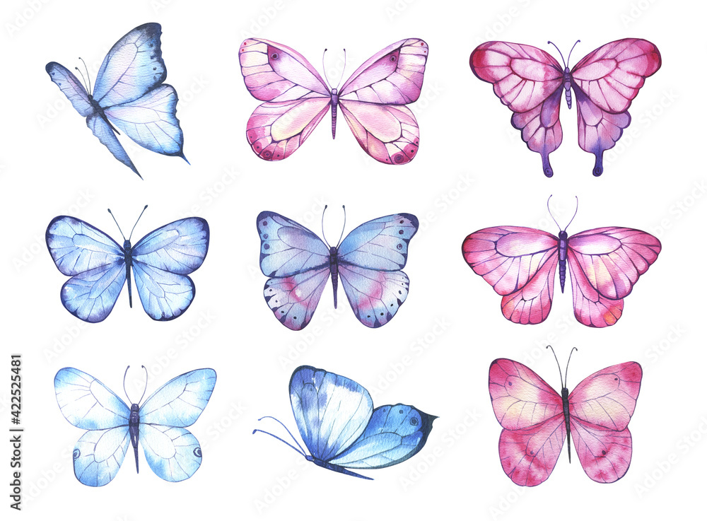 Watercolor colorful butterflies, isolated on white background. blue, pink and red butterfly spring illustration. High quality illustration - obrazy, fototapety, plakaty 