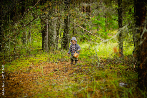 Three-year-old boy in walking in the woods, selective focus
