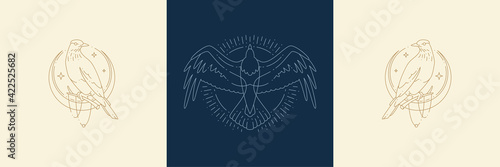 Magic birds on moon and flight raven in boho linear style vector illustrations set.