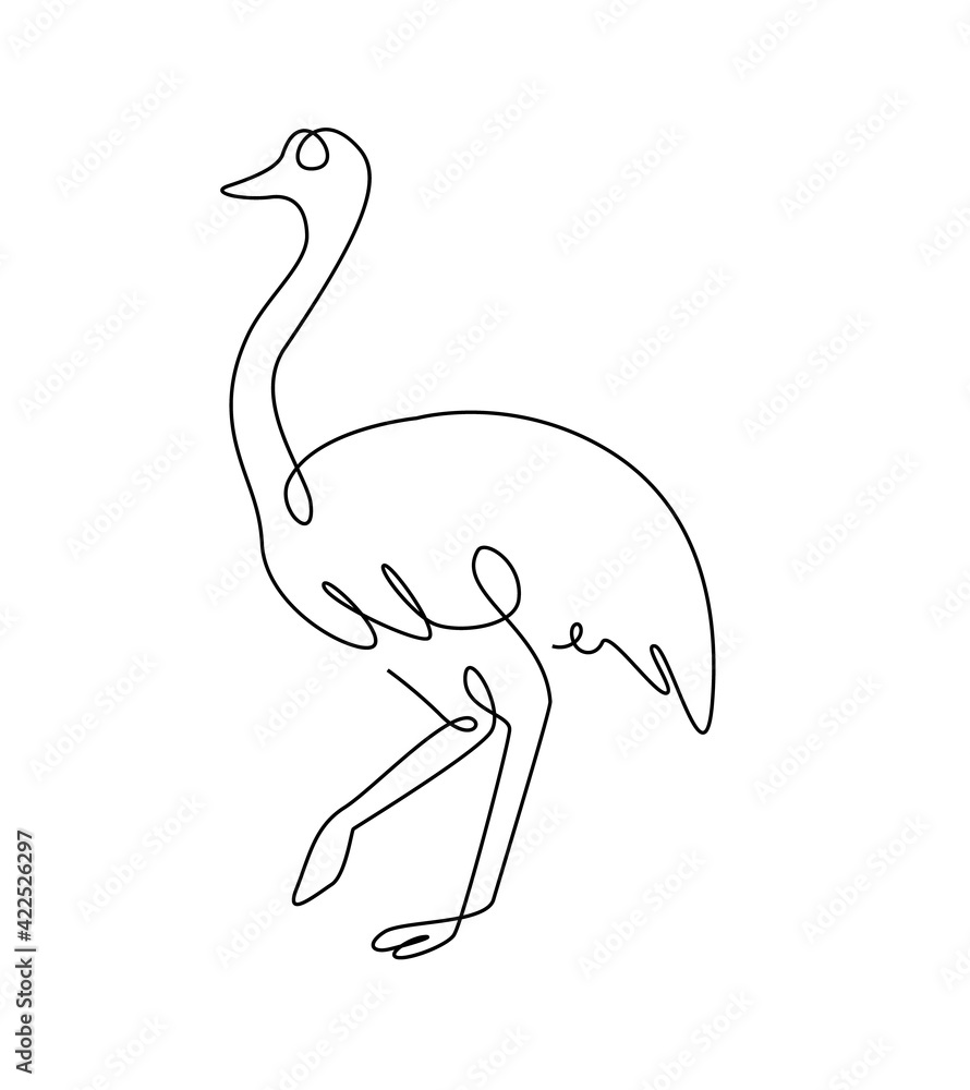 Obraz premium Emu line art. Australia emu bird in outline style. Ostrich one line. Vector continuous line.
