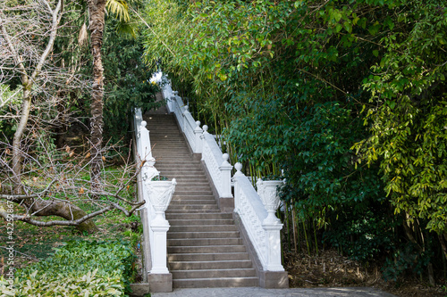 Antique Oriental staircase with white railing and bamboo thickets. Sunny spring day in Arboretum Park Southern Cultures in Sirius (Adler) Sochi. photo