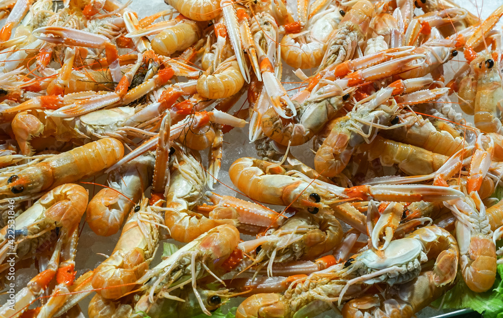 Langoustines for sale at Rialto Fish Market, Mercato di Rialto in Venice, Italy Langoustines for sale at Rialto Fish Market, Mercato di Rialto in Venice, Italy