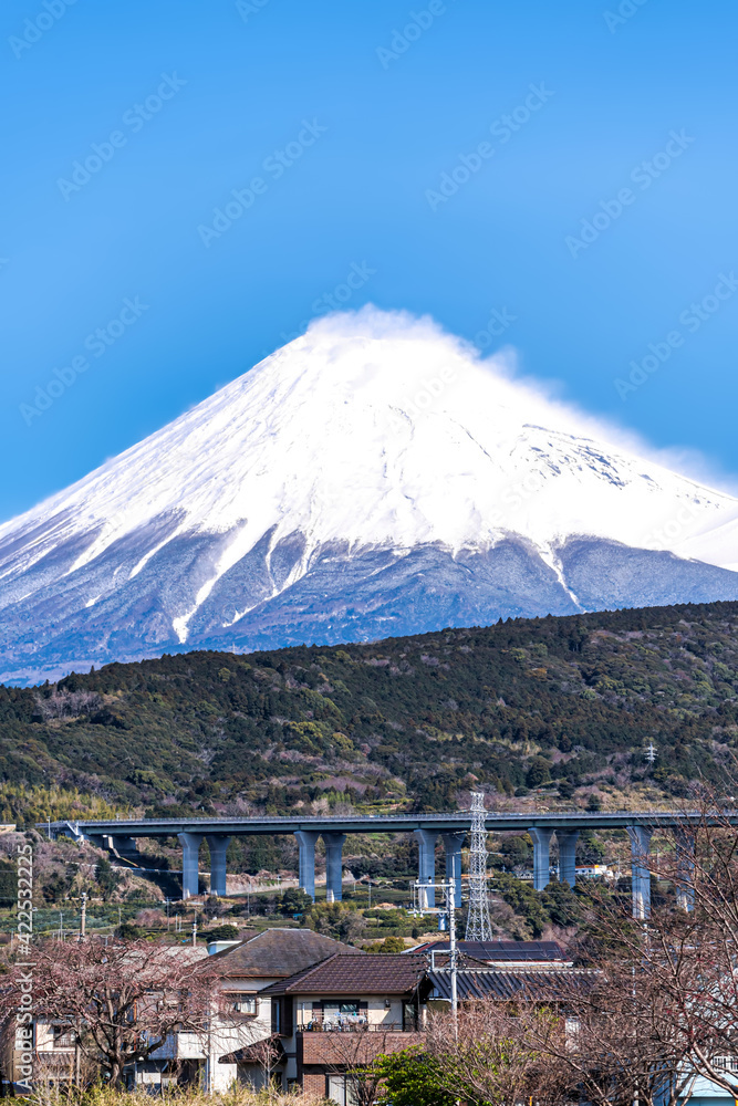 静岡県から見る、冠雪した富士山
