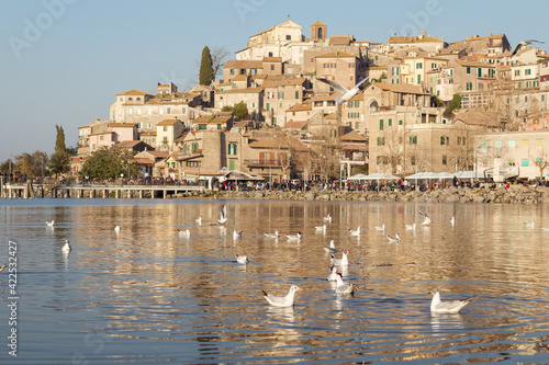 Fototapeta Naklejka Na Ścianę i Meble -  flock of seagulls on lake Bracciano in Italy