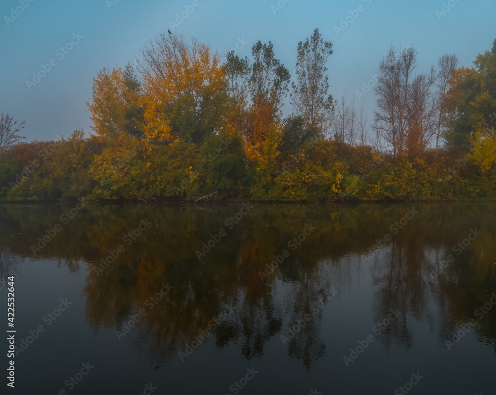 Autumn fog on the river. Poplar grove in the fog. Autumn fog on the river. Poplar grove in the fog.