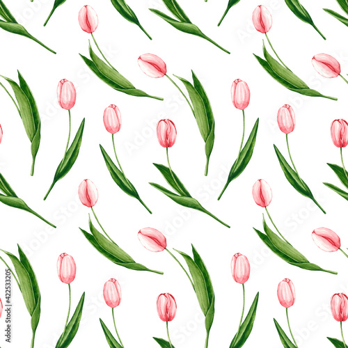 Seamless pattern with watercolor pink tulips. Hand drawn illustration is isolated on white. Spring ornament is perfect for floral design  wrapping paper  interior wallpaper  fabric textile
