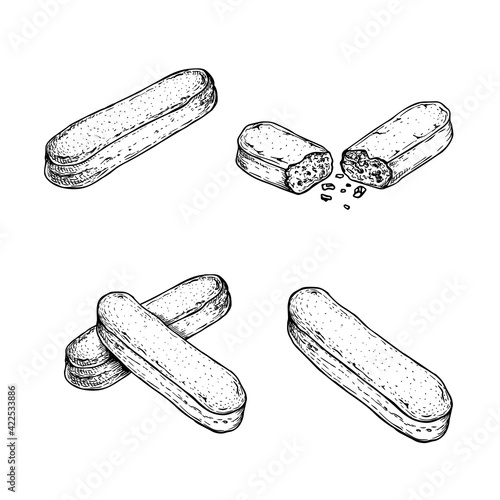 Savoiardi buscuit in sketch style set. Hand drawn Italian dessert tiramisu ingredient collection. Traditional Italian sweets. Vector illustrations.