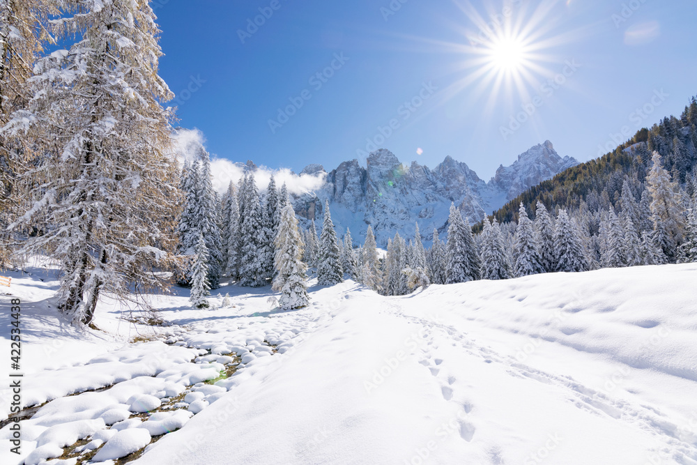 Obraz premium Val Venegia autunno sotto la neve, paesaggio innevato delle Pale di San Martino. Dolomiti innevate