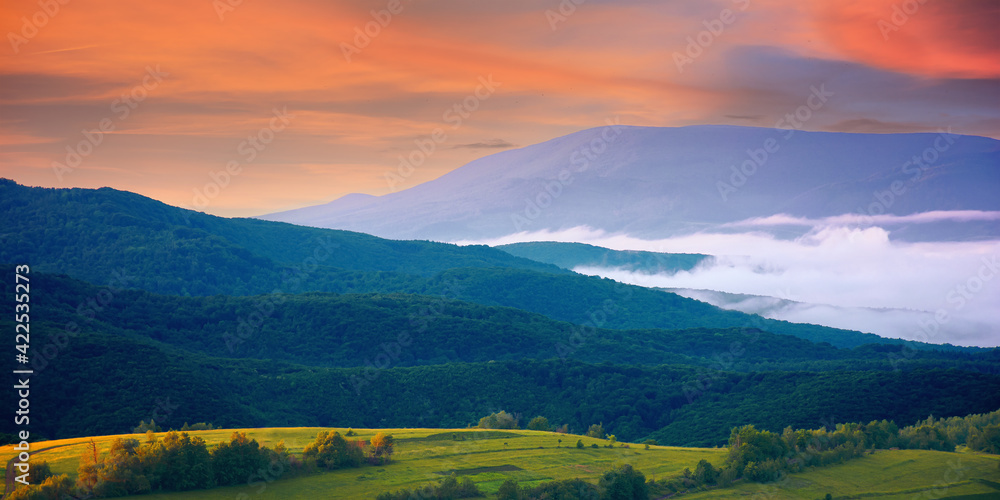 mountainous rural landscape at sunrise. trees and agricultural fields on hills rolling in to the distant valley full of fog. ridge beneath a sky with clouds in morning light