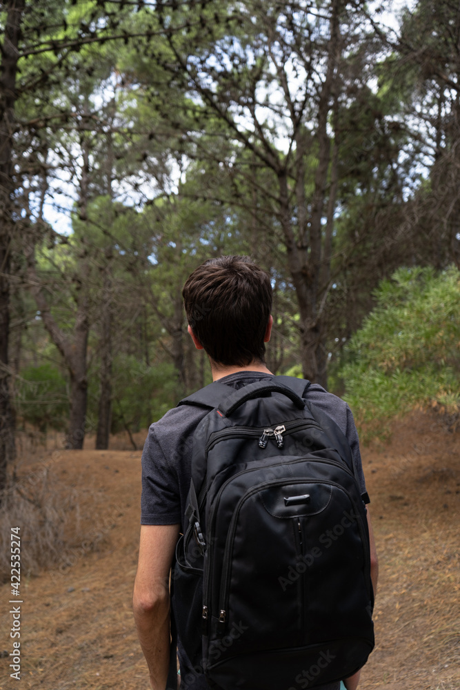 Young male explorer walking in a pine forest. Vertical shot. Young male explorer walking in a pine forest. Vertical shot.