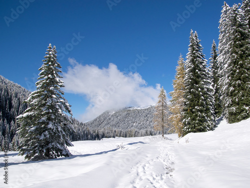 mountain winter alps landscape, dolomites natural park © Davide