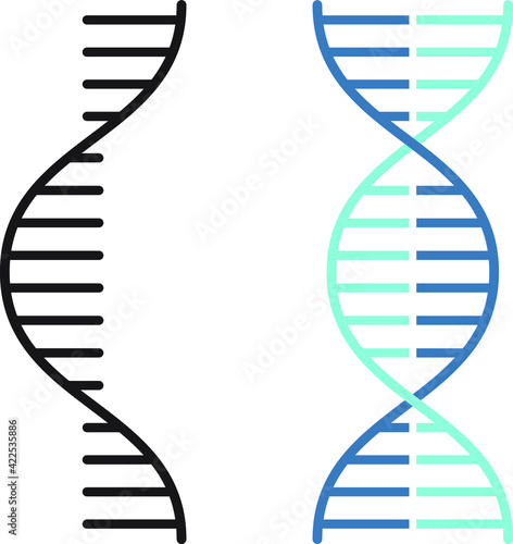 RNA and DNA related vector thin line icon