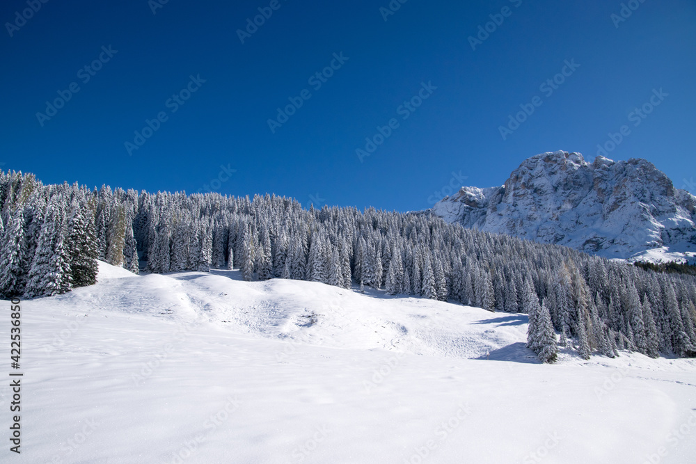 Val Venegia autunno sotto la neve, paesaggio innevato delle Pale di San Martino. Dolomiti innevate Val Venegia autunno sotto la neve, paesaggio innevato delle Pale di San Martino. Dolomiti innevate