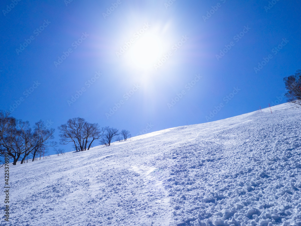 Looking up at the sun in ski resort on a clear day in early spring (Niseko Hanazono Resort, Hokkaido, Japan)