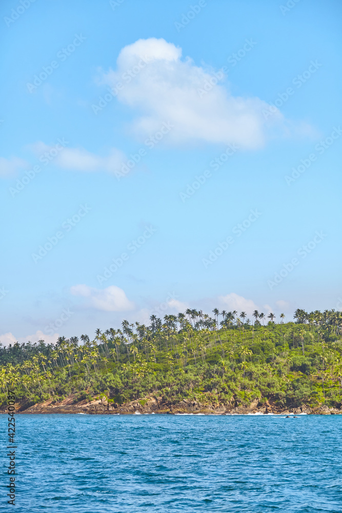 Tropical island coastline with palm trees on a sunny day, Sri Lanka.