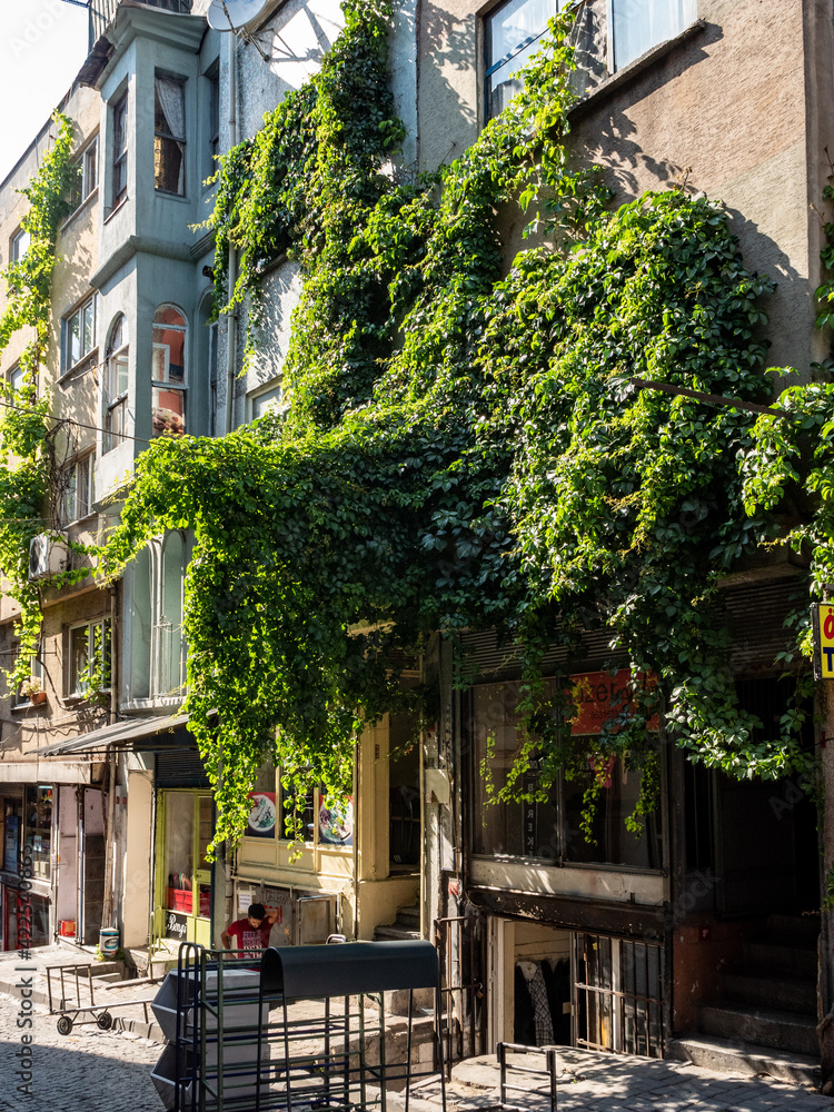street in the city of istanbul with foliage on the facade